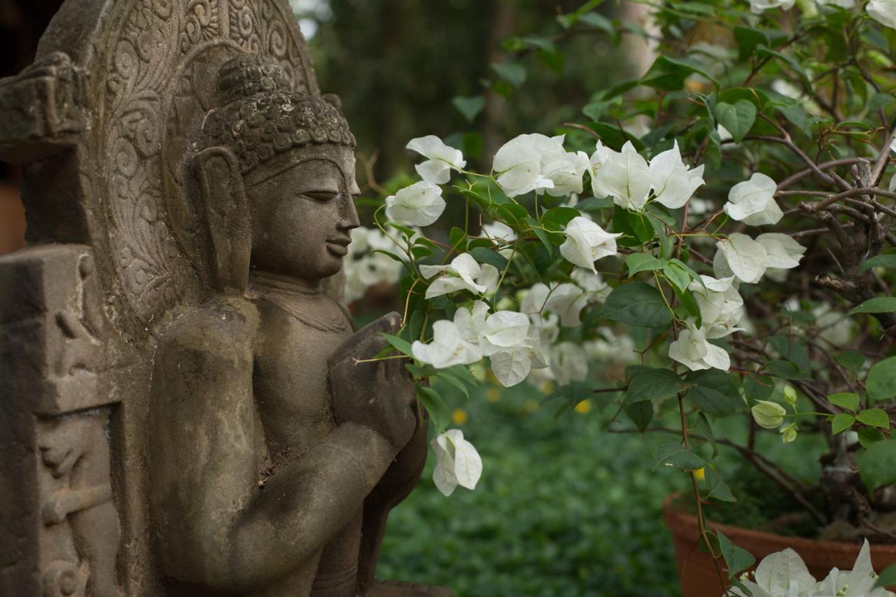 Soma Manaltheeram Ayurveda Beachvillage Ковалам Екстериор снимка